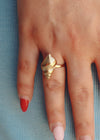 Natica Ring - Gold