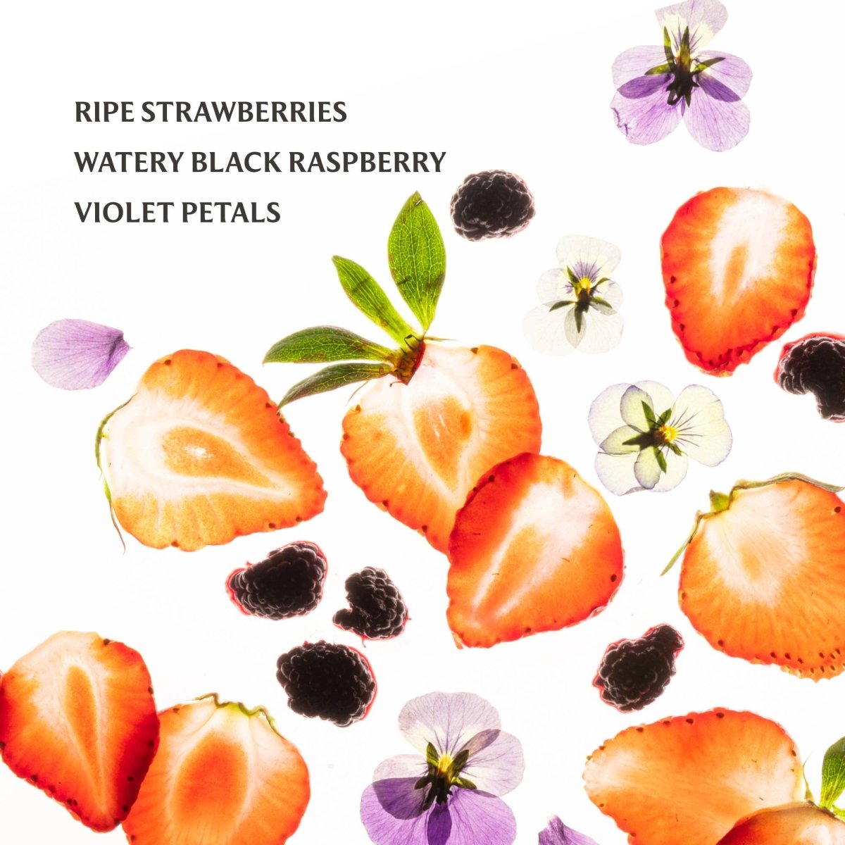 Berry Bliss Power Mist Hydrating Hand Sanitizer - MerciGrace BoutiqueApparel & Accessories