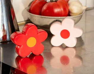 Daisy Salt and Pepper Shakers - Pink/ Red - MerciGrace BoutiqueHome Accessories